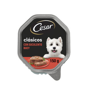 Cesar Clásicos Boi em Patê lata para cães